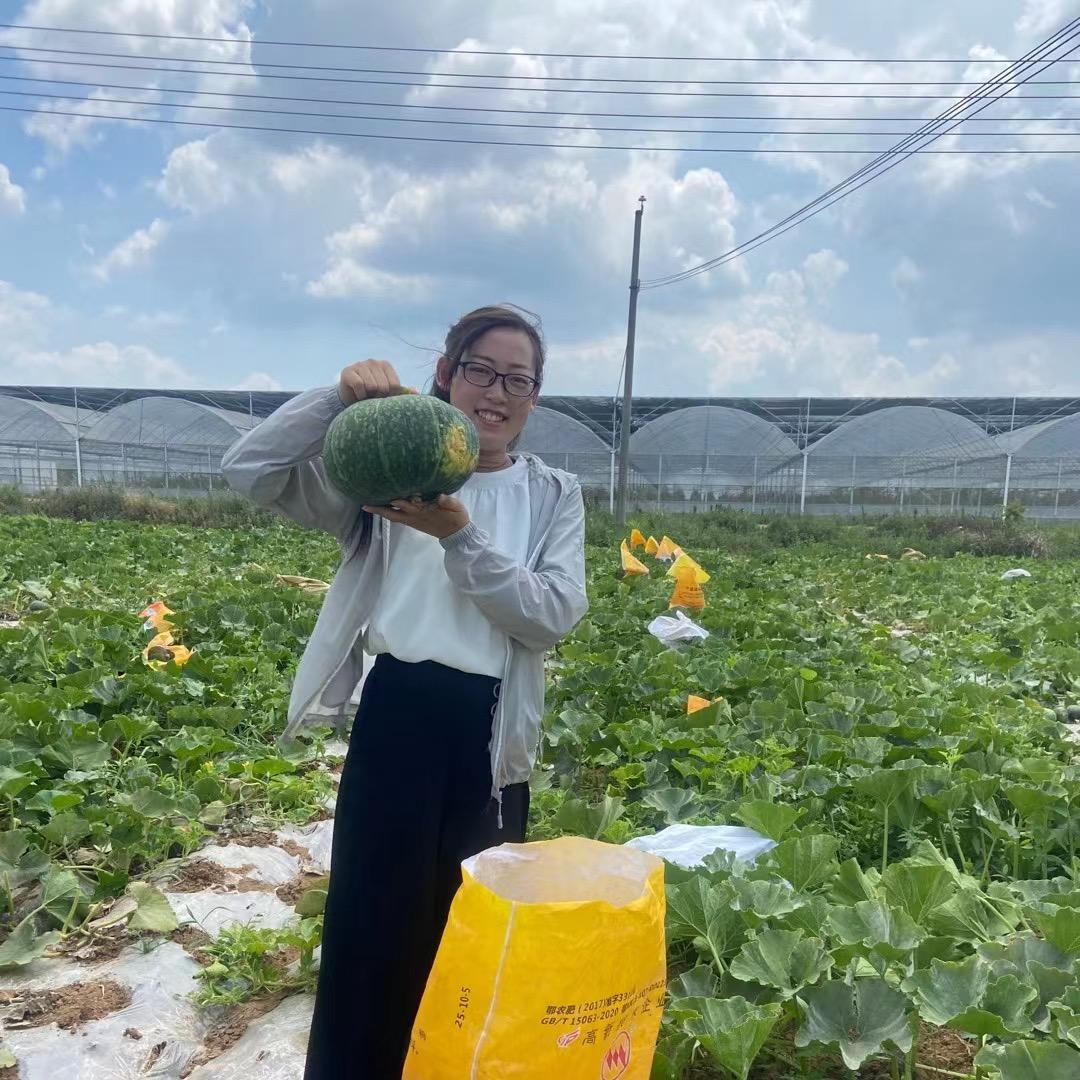 杨妮