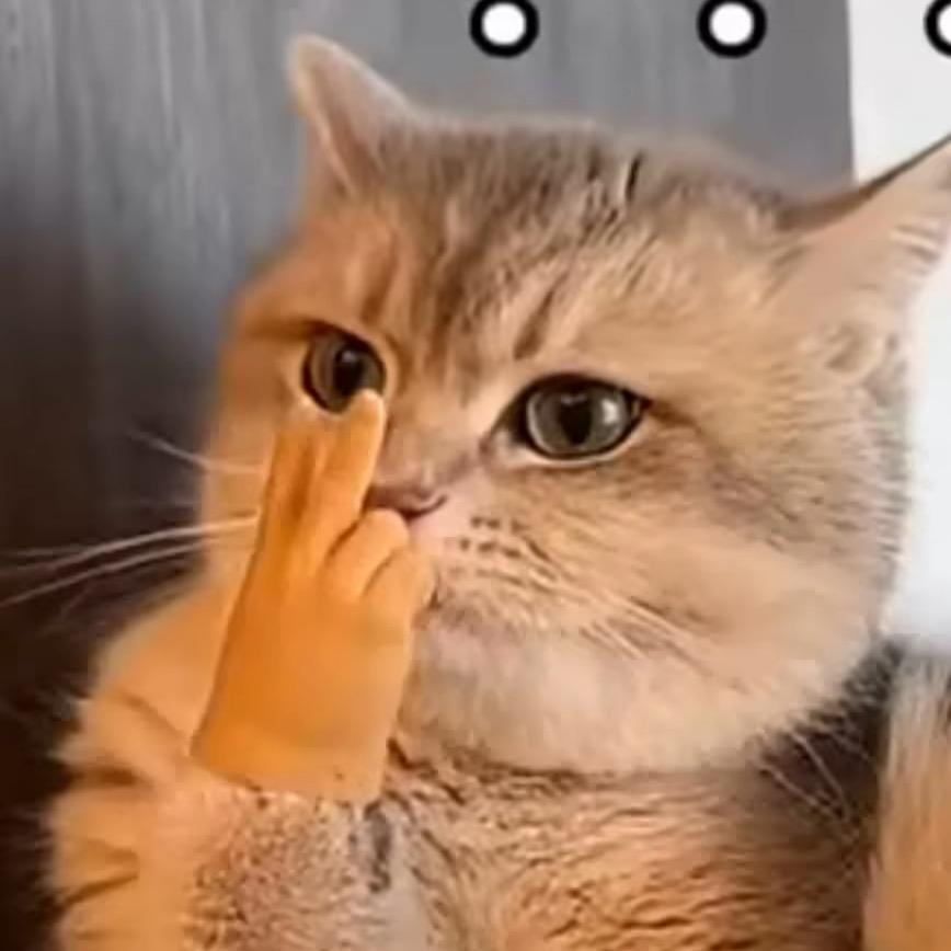 红豆相思