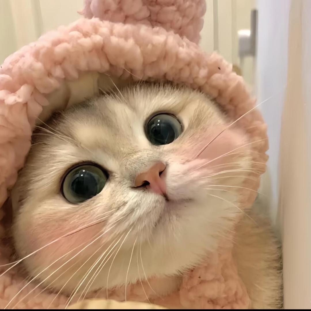 小赵的秘密