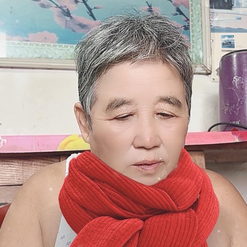 吴家小乡村