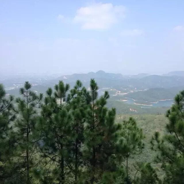 飞哥.