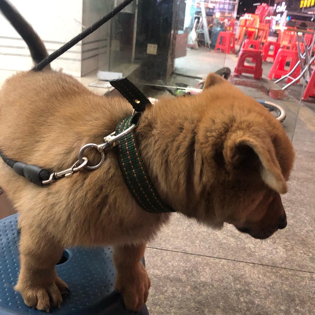 因为喜欢所以专业