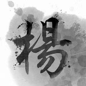 杨氏总会（杨波）