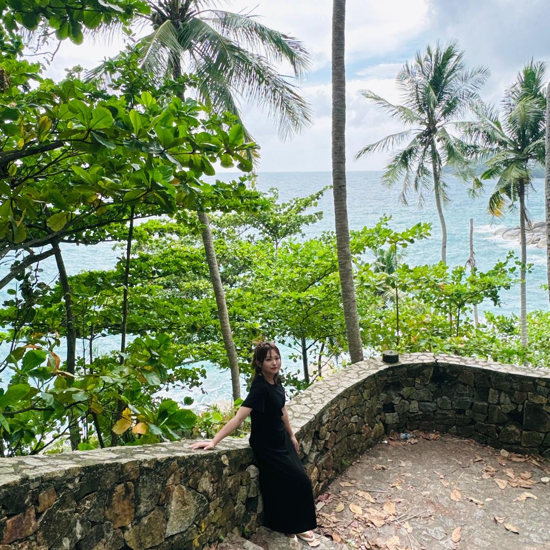 爱唱歌的小趴菜