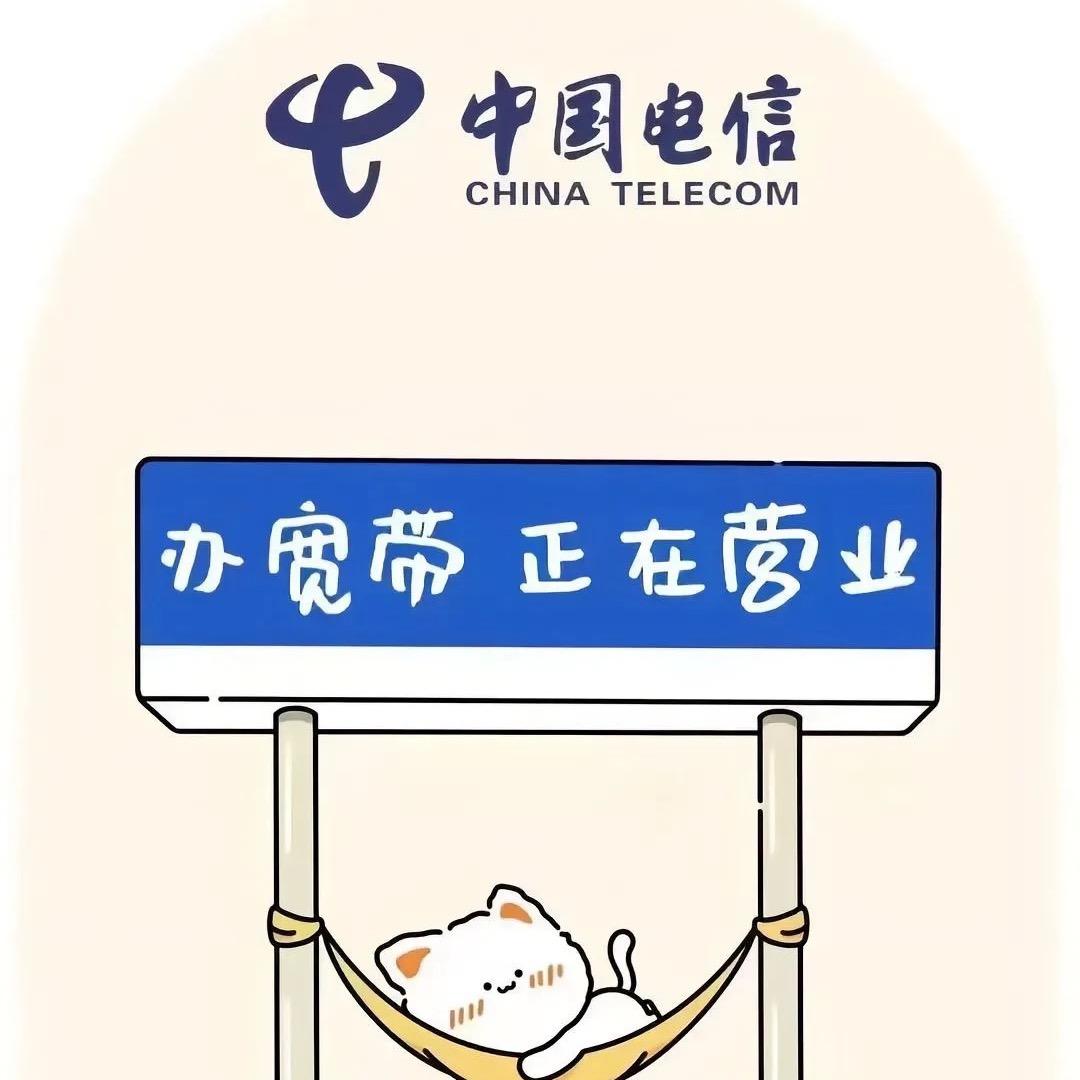 重生之我在电信摆摊