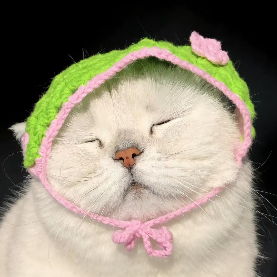 ᥫᩣ。