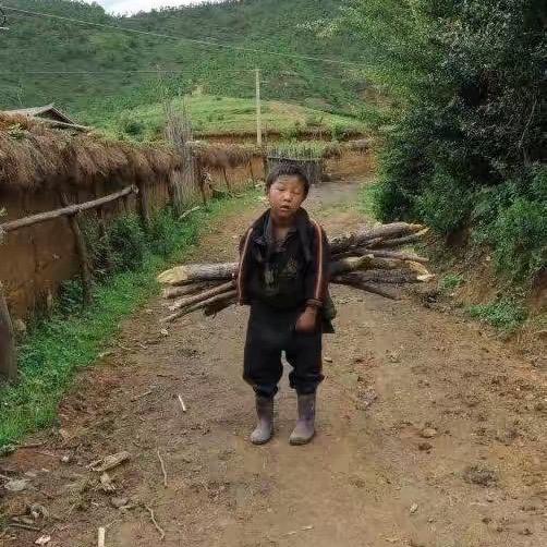 每天都要赚钱呀