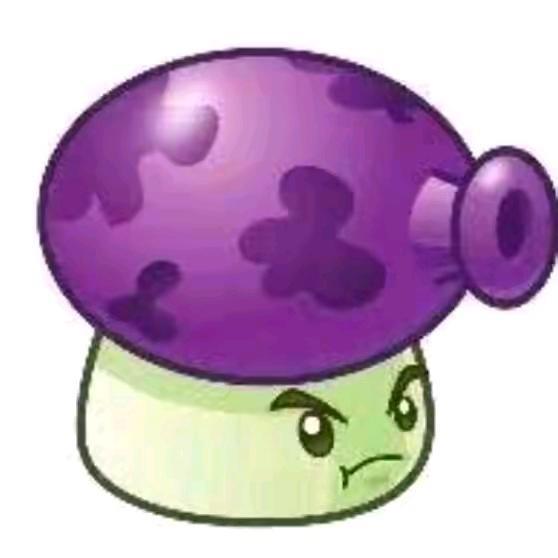 🟣 🟣 🟣 🟣 🟣 🟣 🟣