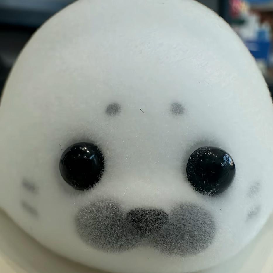 分明的小帅