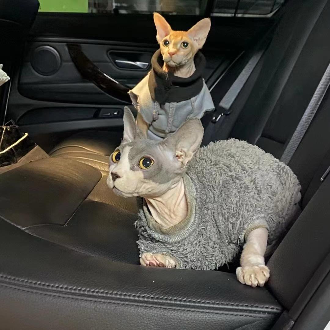 399599
