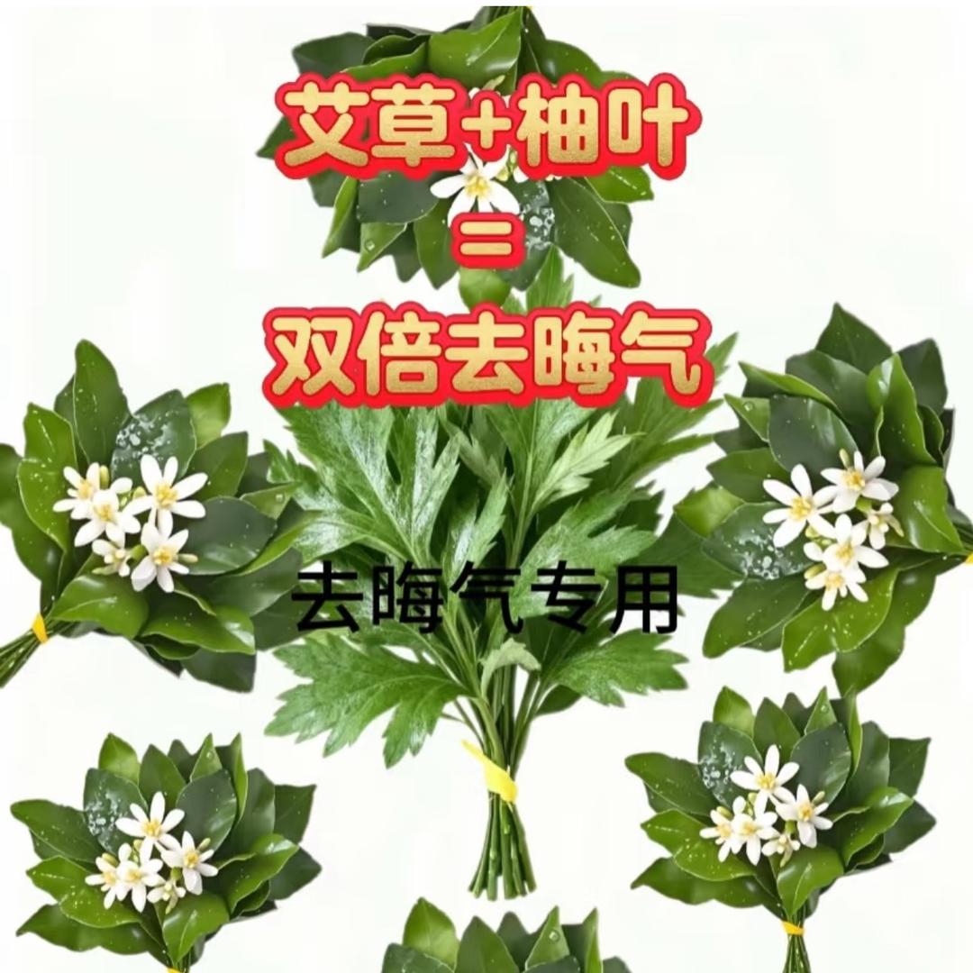 讨厌 所有妈宝男➕死装受害者