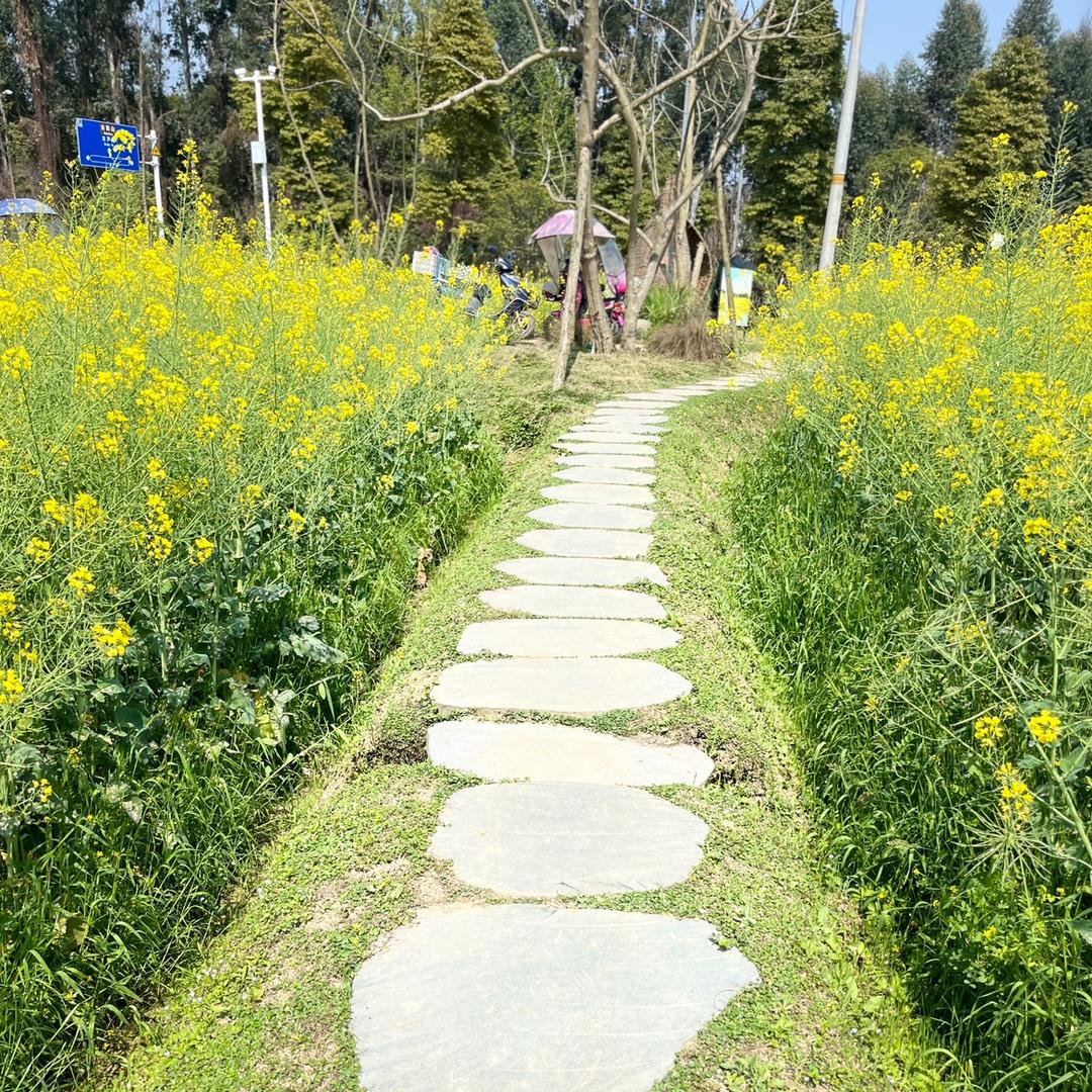 醒醒