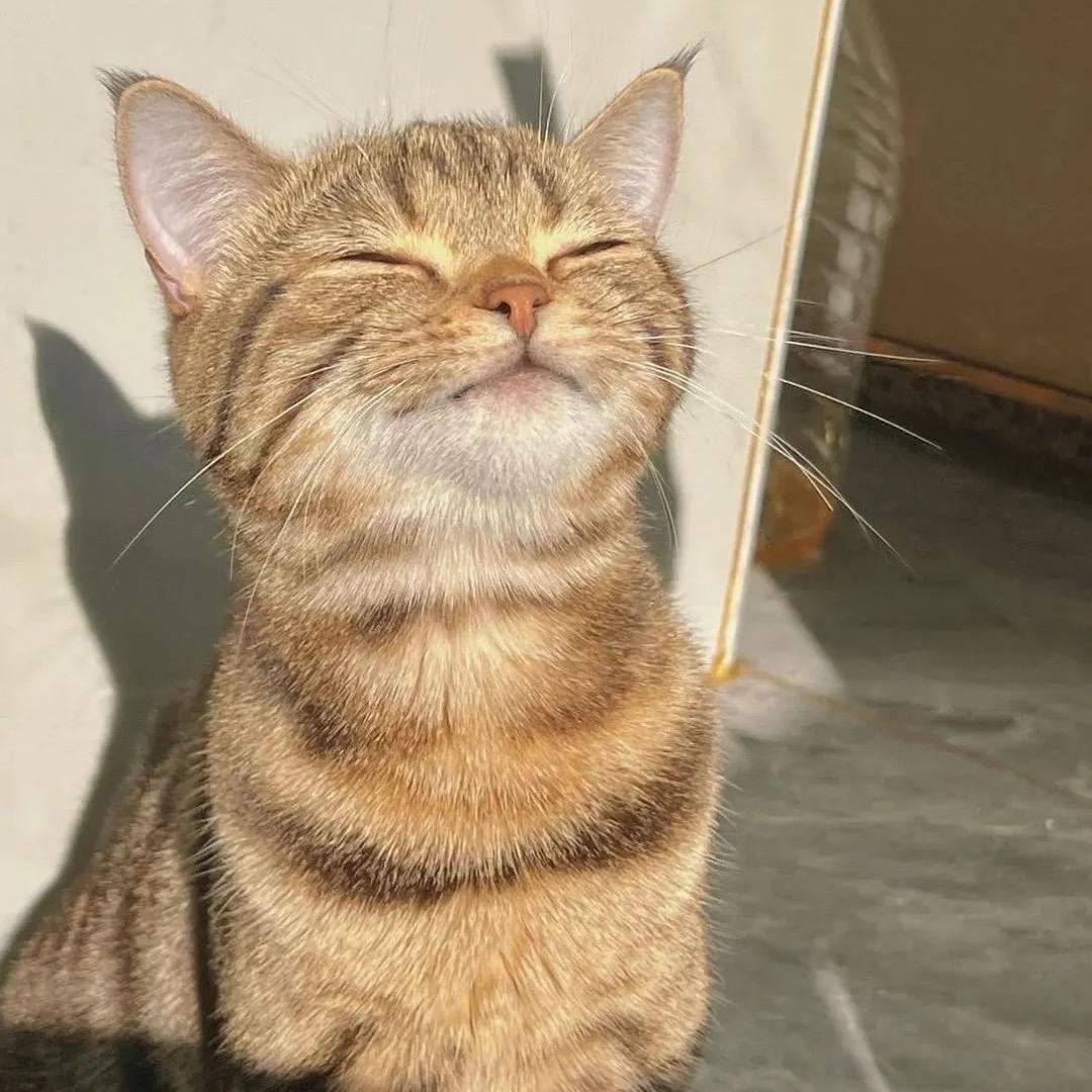 春季的风