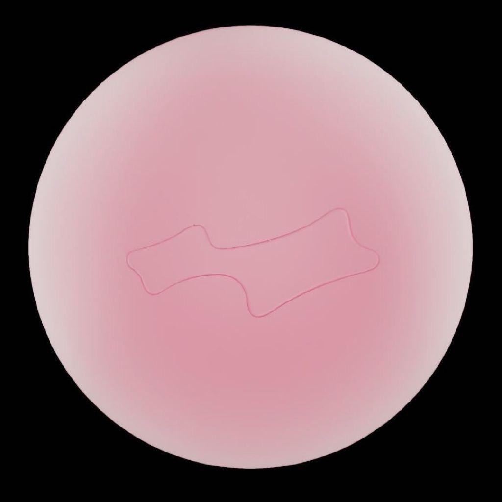 AlbeyBieber·𝑨𝑴