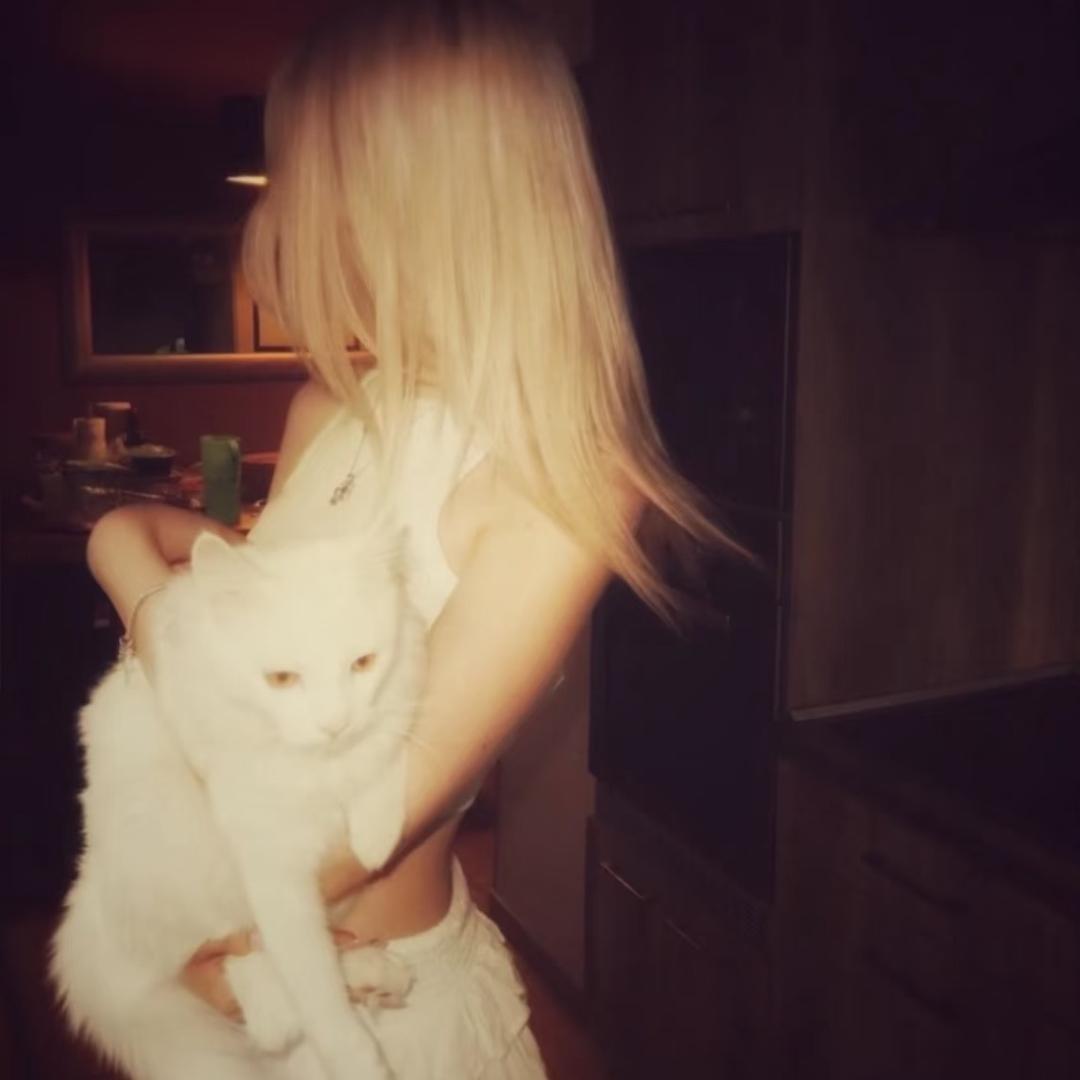 𝙈𝙞𝙧𝙖𝙞𝙩𝙤𝙬𝙖