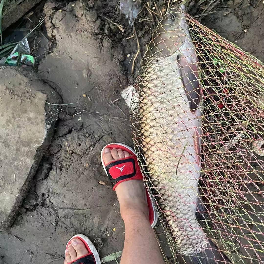 青县原县窑地钓场