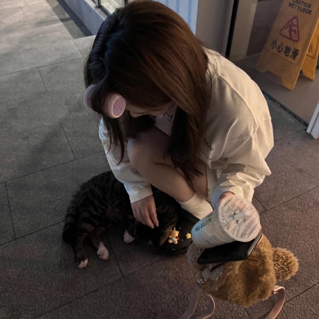 糕糕糕.