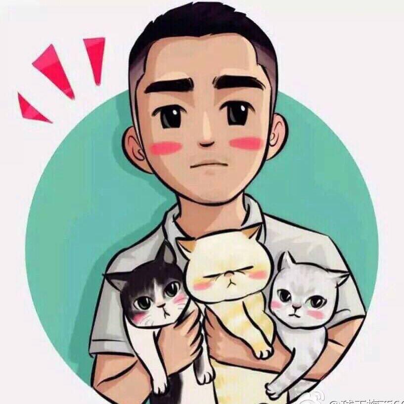 小黑的养猫生活