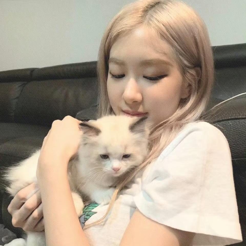 Jirosé