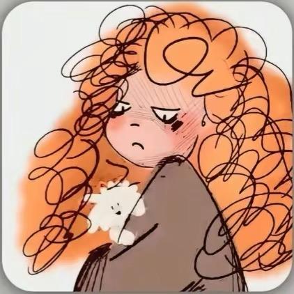 张扣扣（不攒到钱不换名）