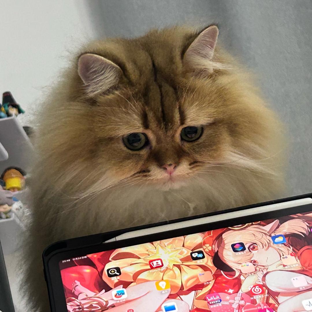 🌈你算哪瓶小牛奶