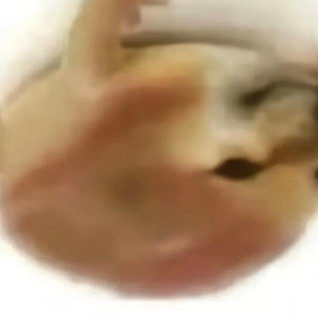 我也这样觉得