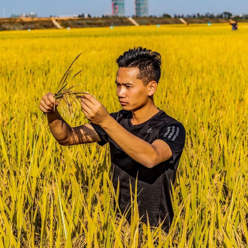 沃尔丰兄弟农资