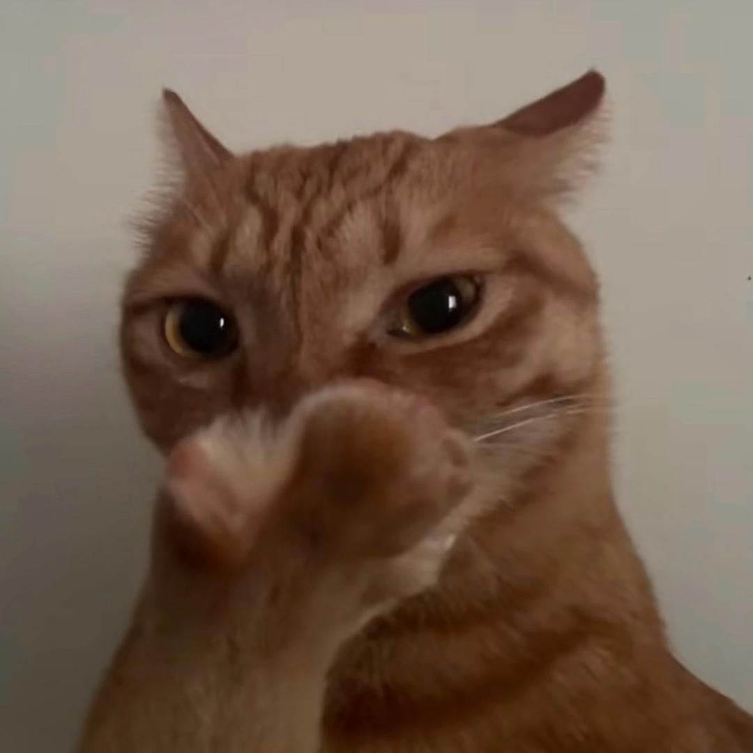 小虎