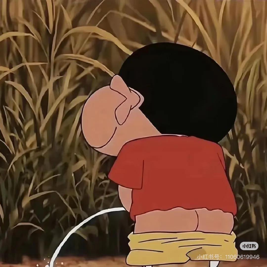 川渝小暴龙🦖