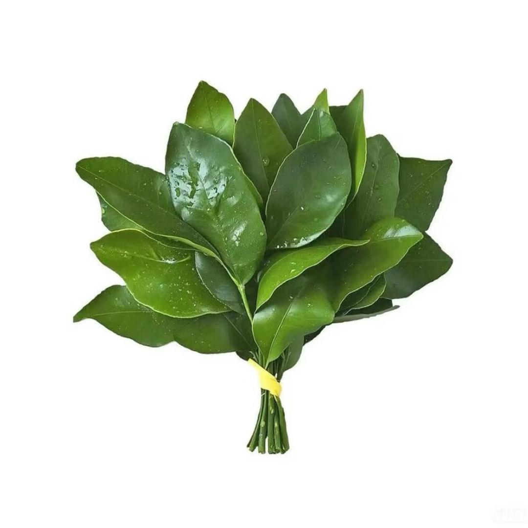 冰荔枝/•᷅•᷄\୭