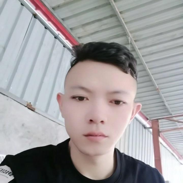 茶叶飘香