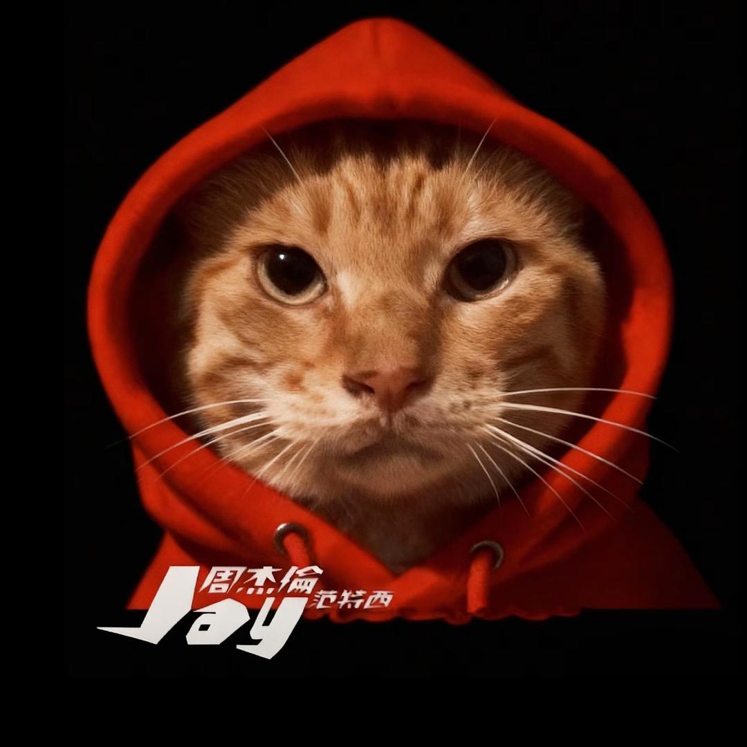 无量仙猫—耄耋