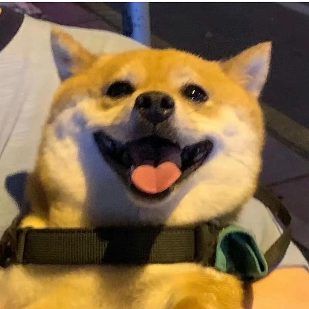 刘简单.(去过火星版）