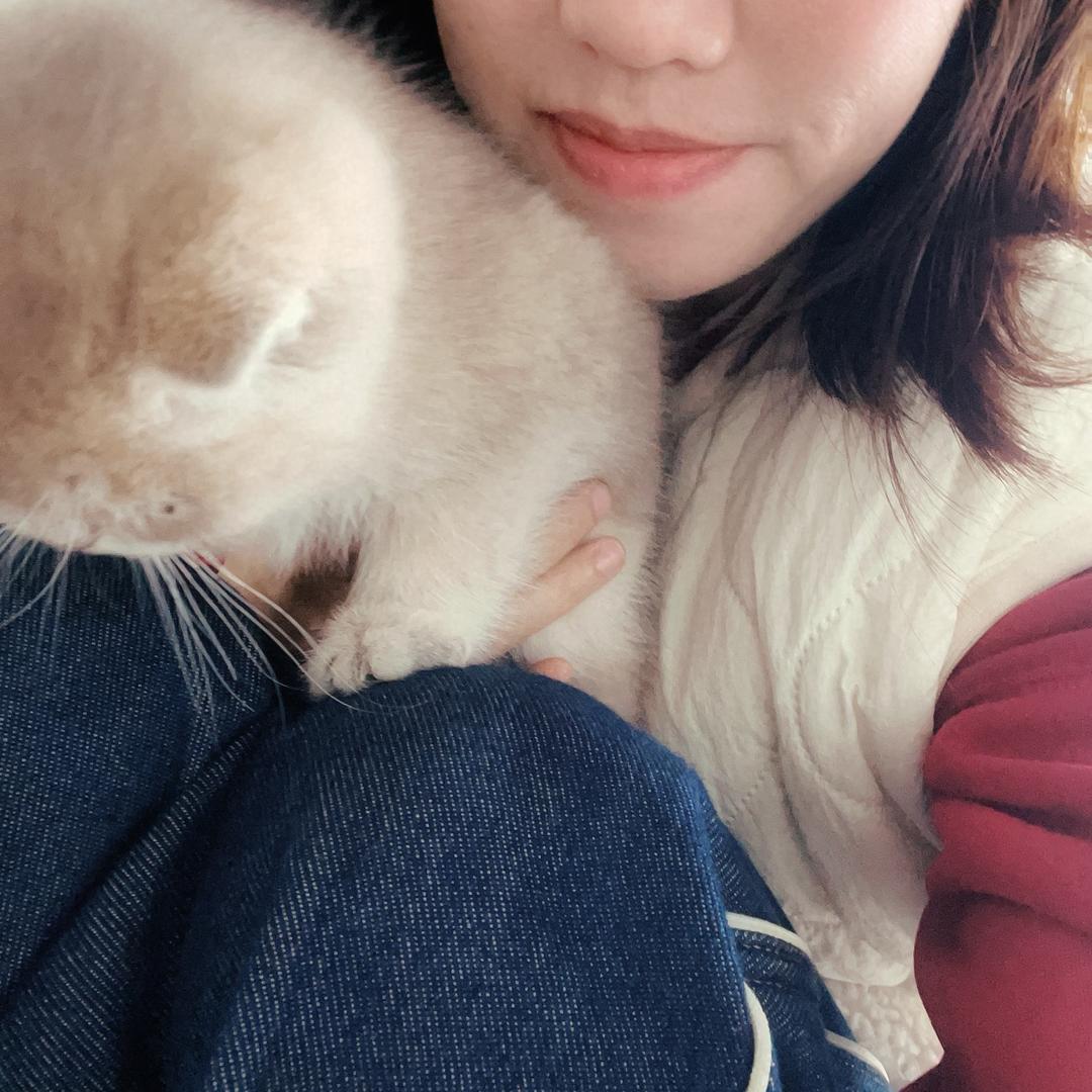 我真系多得你谢小姐