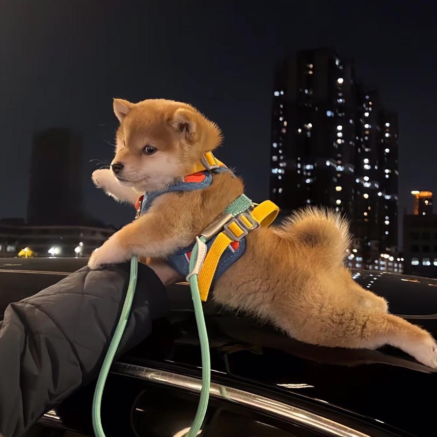 哈尔滨小海售🚗