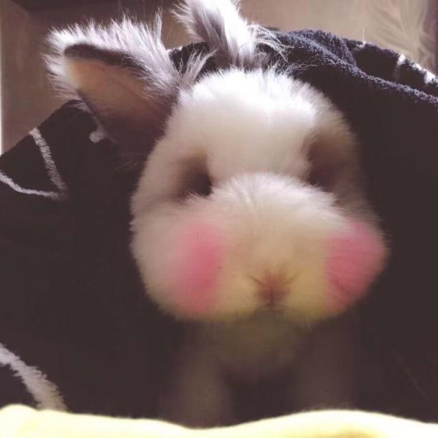 还敢动心嘛
