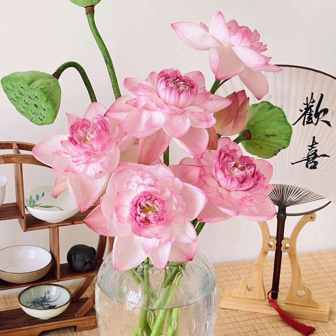 芜湖丘比特