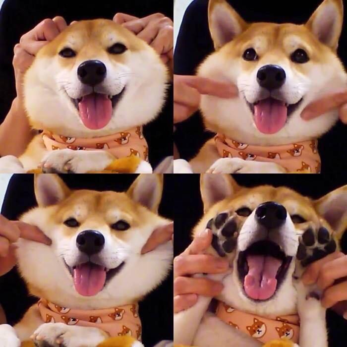 留白