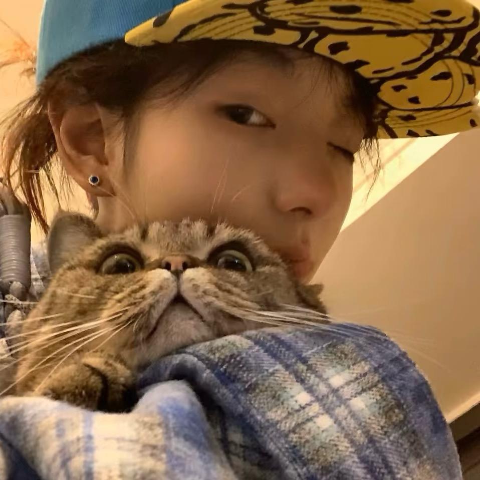 晚安刀妹：