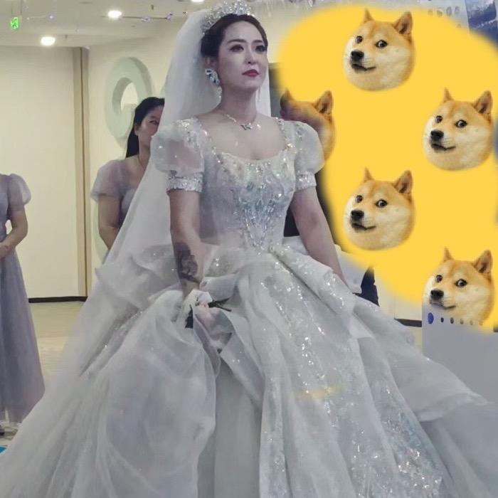 如果不曾拥有你