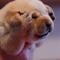 金桔柠檬少加冰🧊