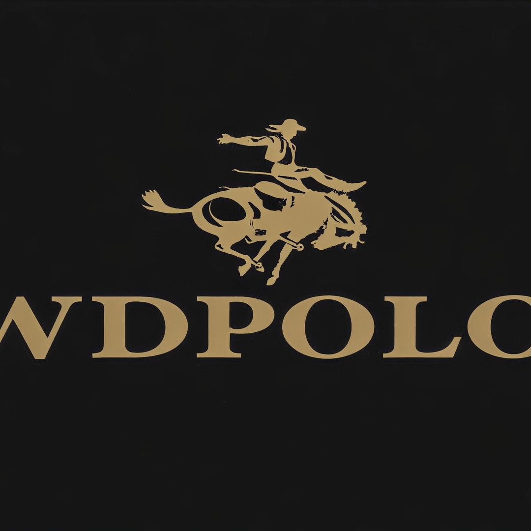 WDPOLO专营店