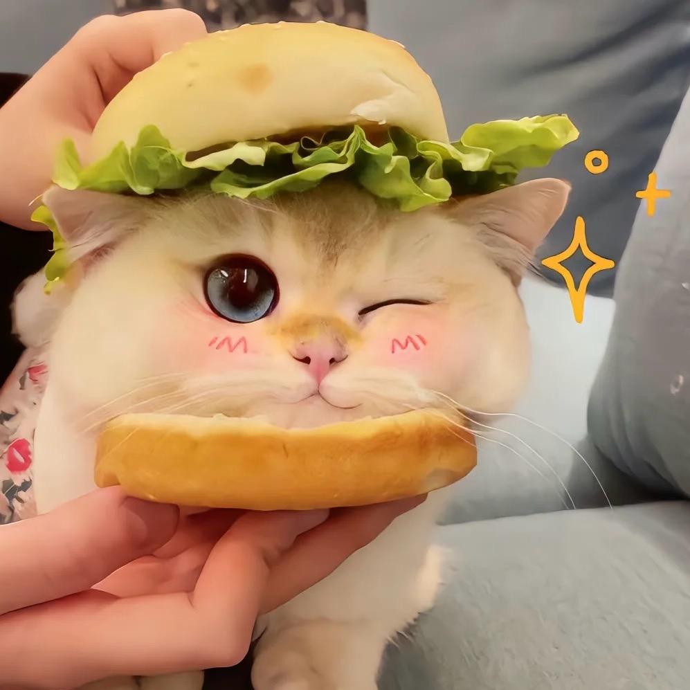 爱吃草莓🍓的兔子