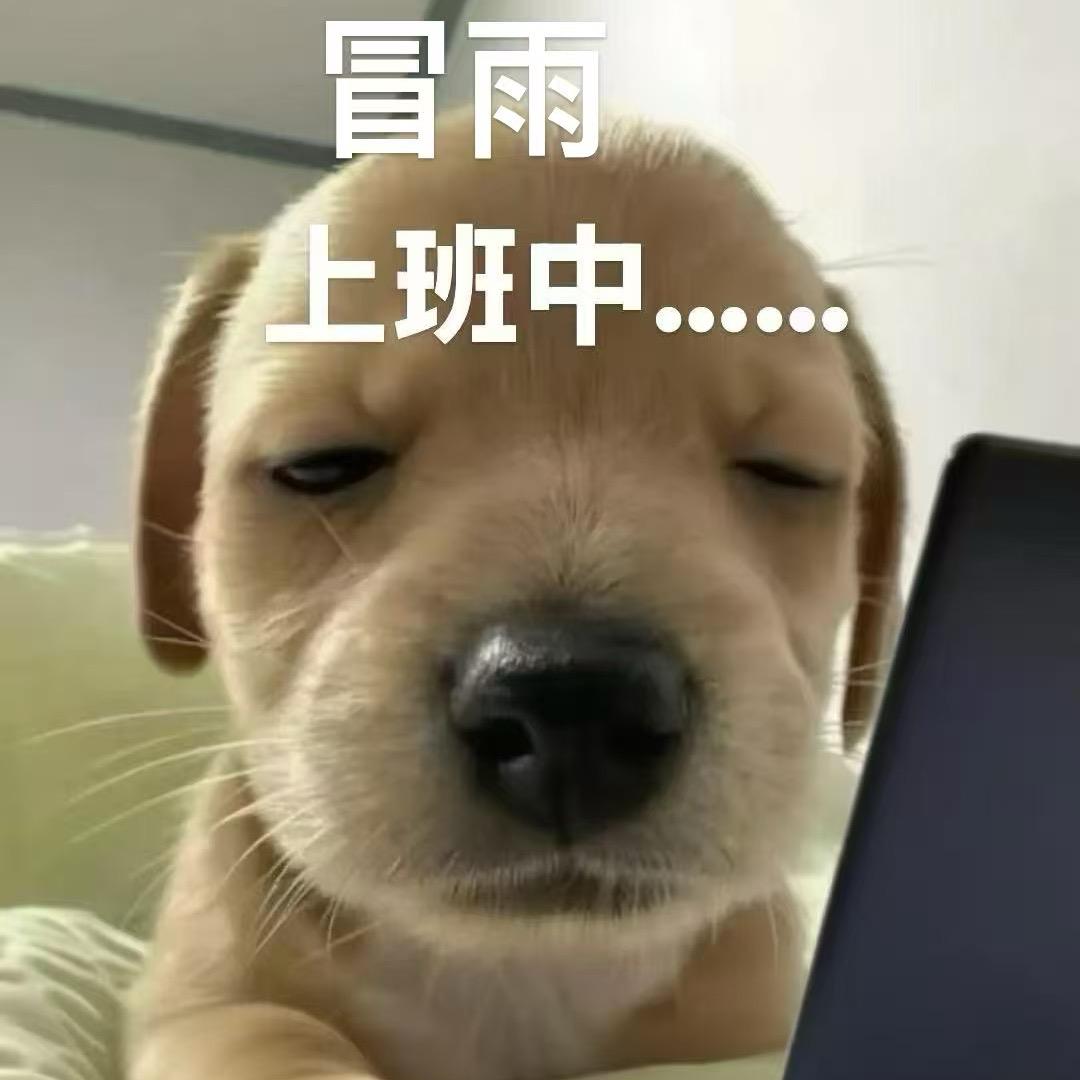 小纽扣