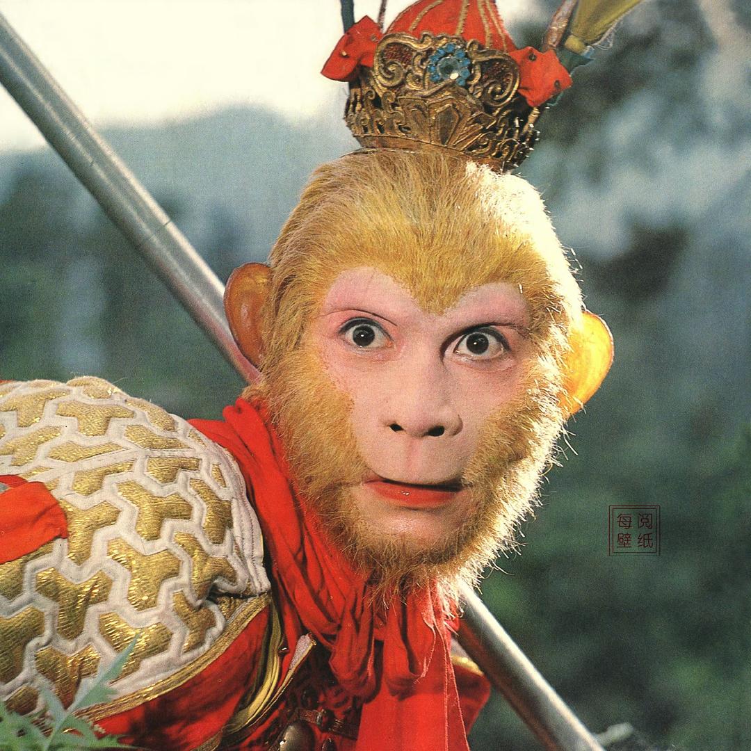 闹闹切克闹