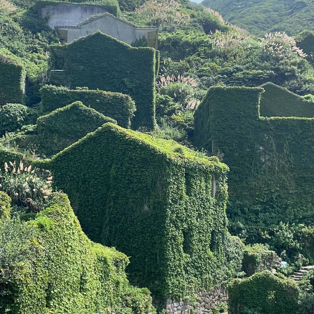 岛主秋秋