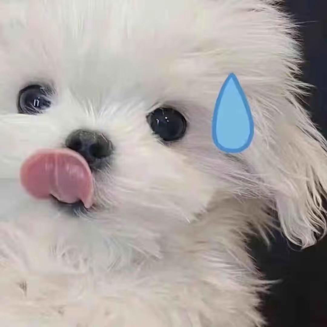 我才叫口袋.