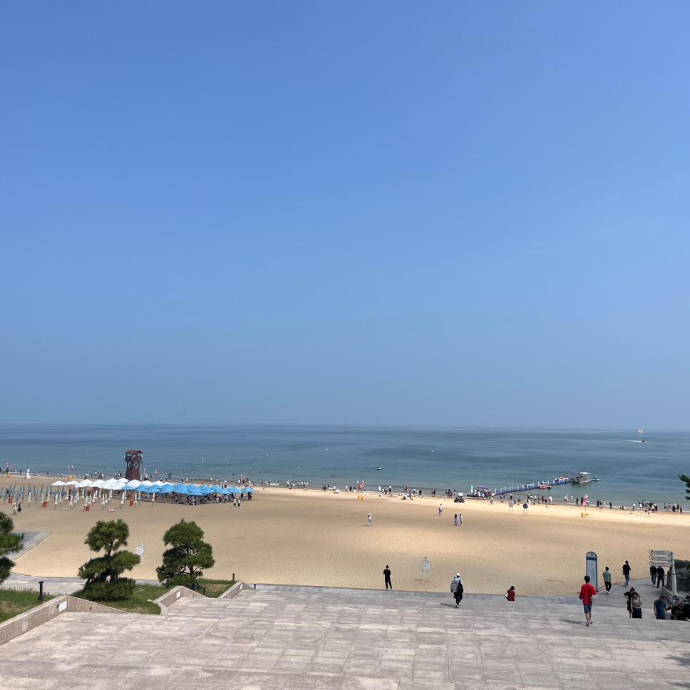 再见孙悟空