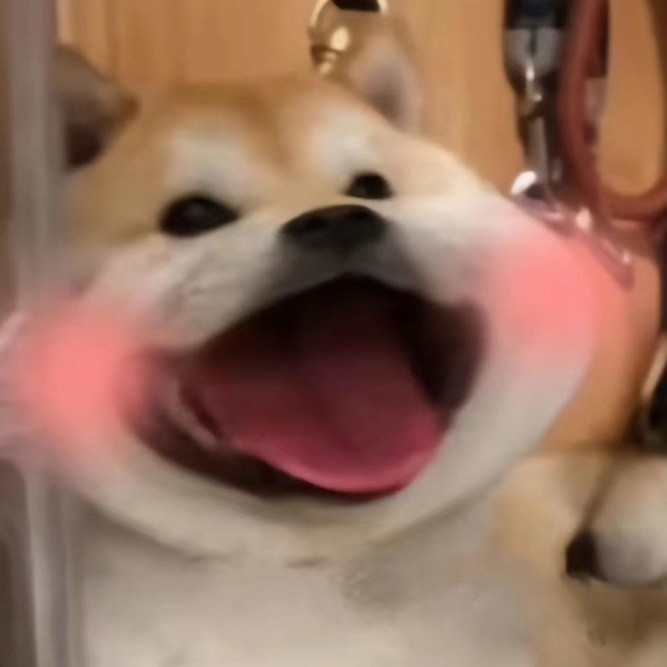 一只潼潼呀