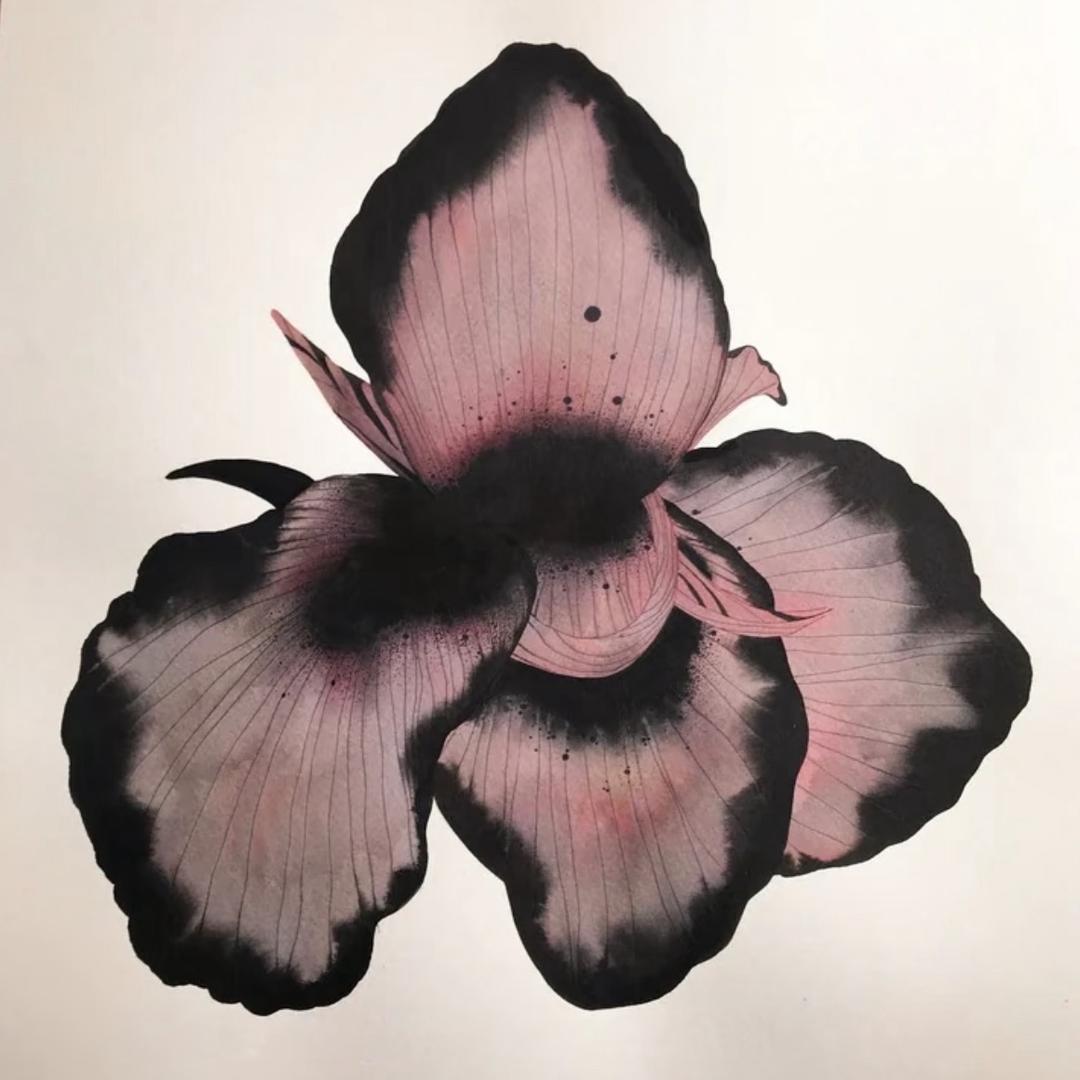 羊毛
